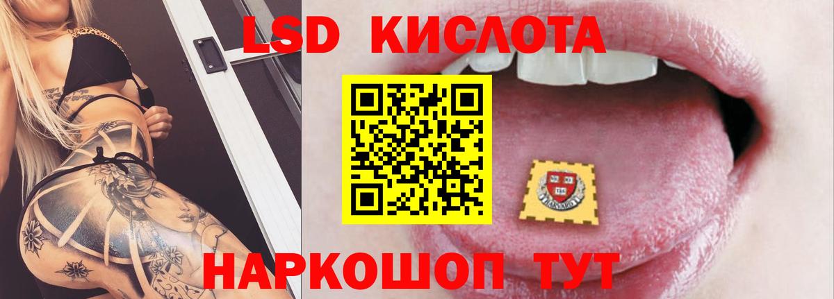 A PVP Арзамас