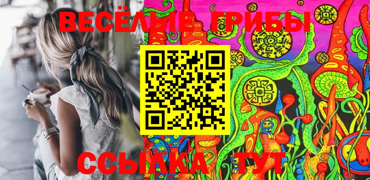 Галлюциногенные грибы GOLDEN TEACHER  Галлюциногенные грибы Psilocybine cubensis  Арзамас  Вход с VPN 